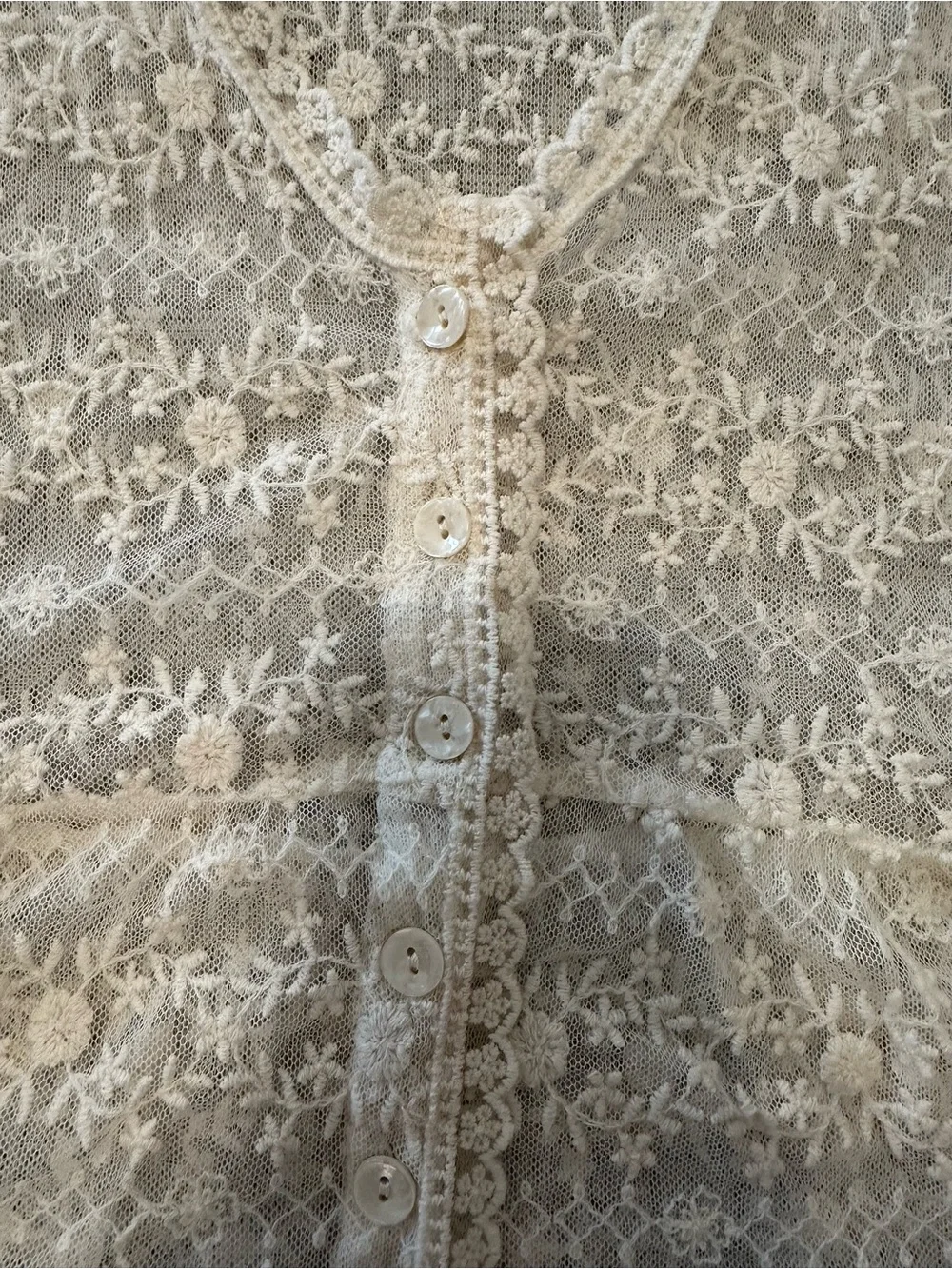 Lizard Thicket Ivory Lace Peplum Camisole